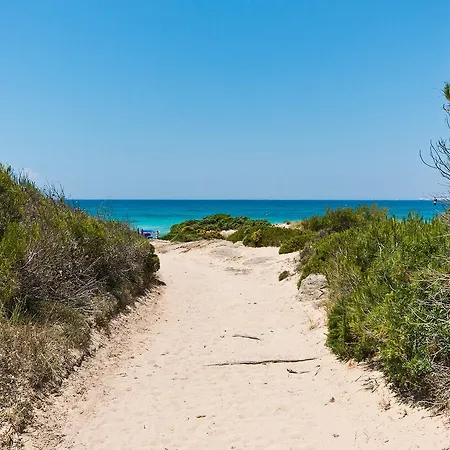 Apartment Beach M362