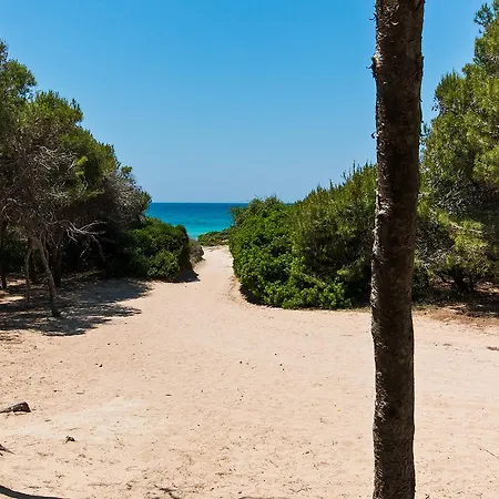Beach M362 Gallipoli