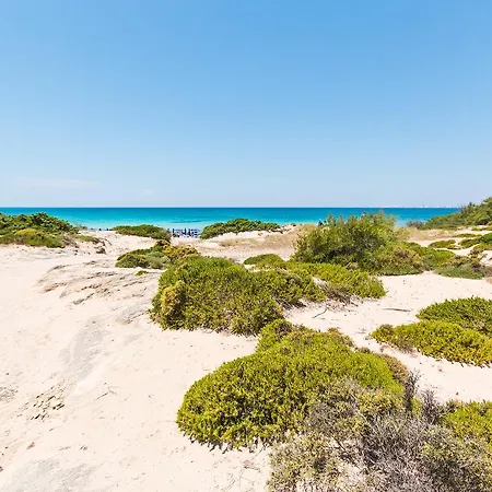 Beach M362 Gallipoli